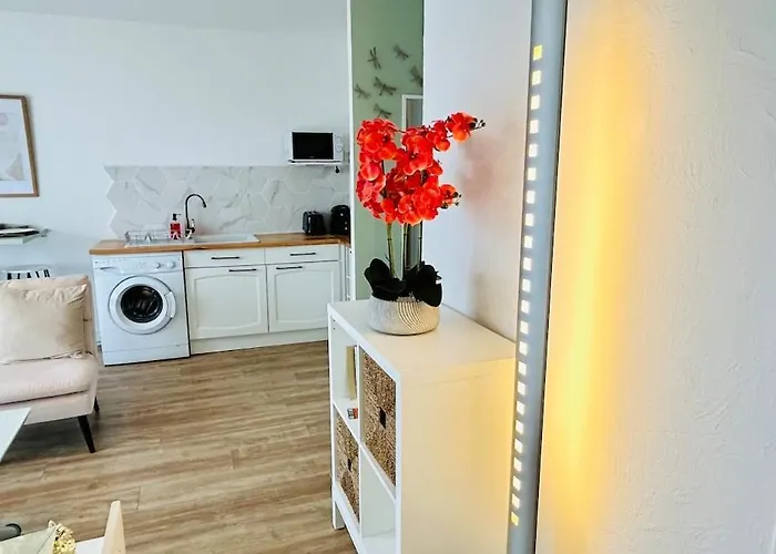 Apartment Chanzy Lumineux Cozy Avec Terrasse